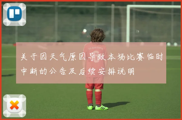 关于因天气原因导致本场比赛临时中断的公告及后续安排说明